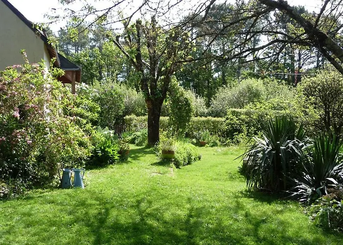 Le Jardin Aux Oiseaux