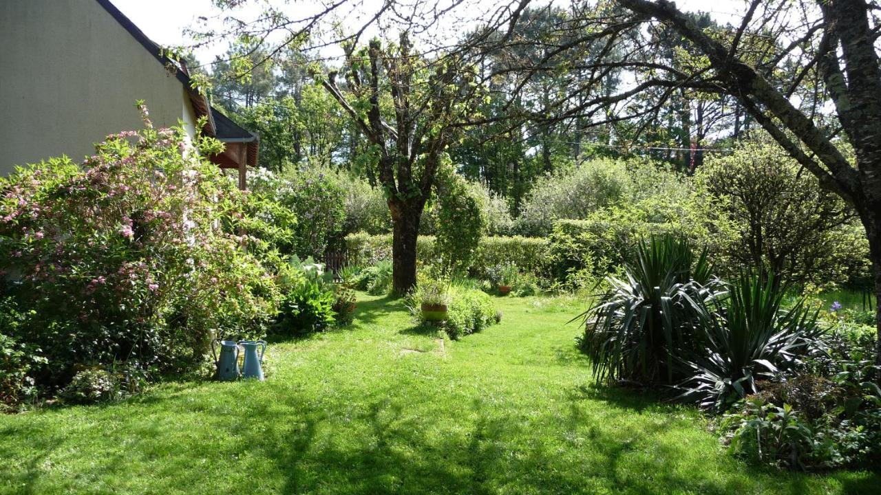Le Jardin Aux Oiseaux Bed & Breakfast *
