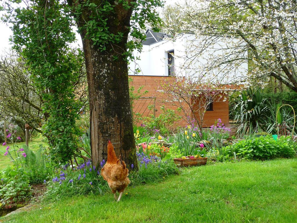 Bed & Breakfast Le Jardin Aux Oiseaux Férel