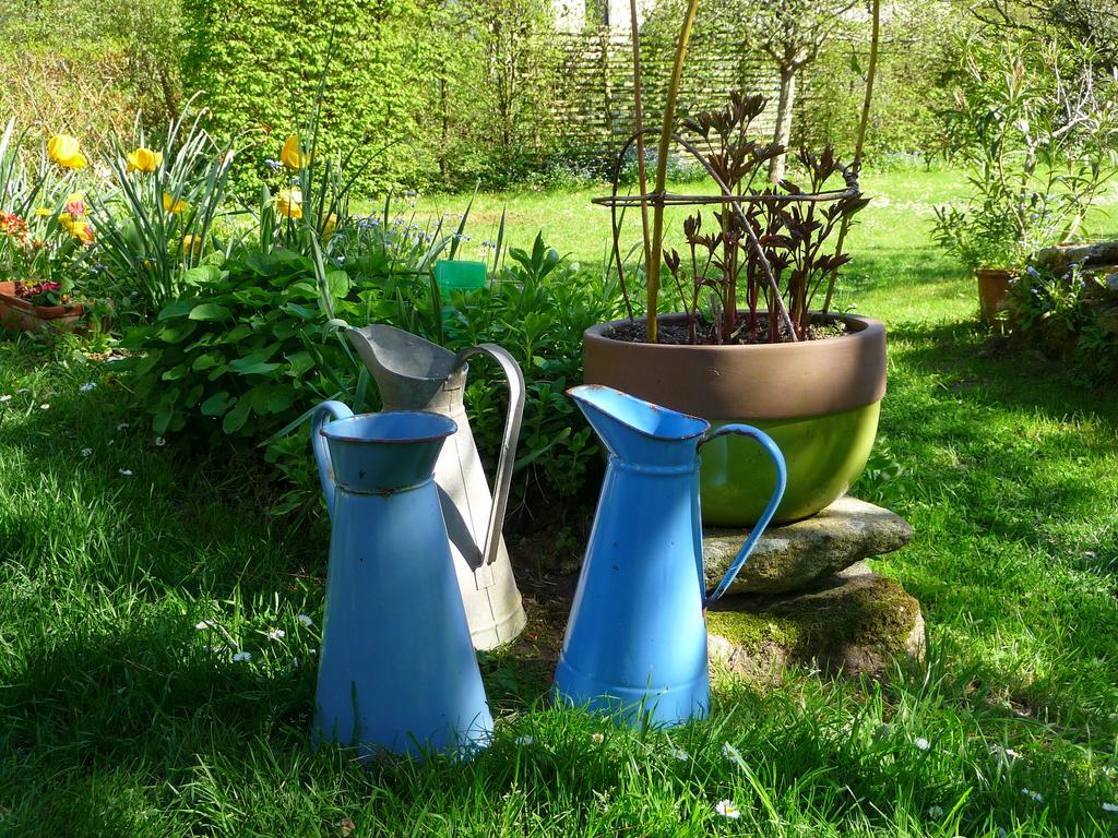 Le Jardin Aux Oiseaux *